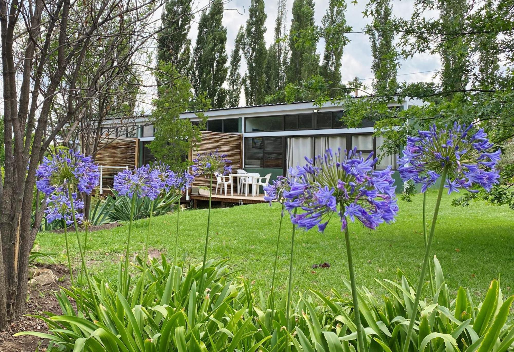 Collett House And Lavender Cottage Кларенс Экстерьер фото